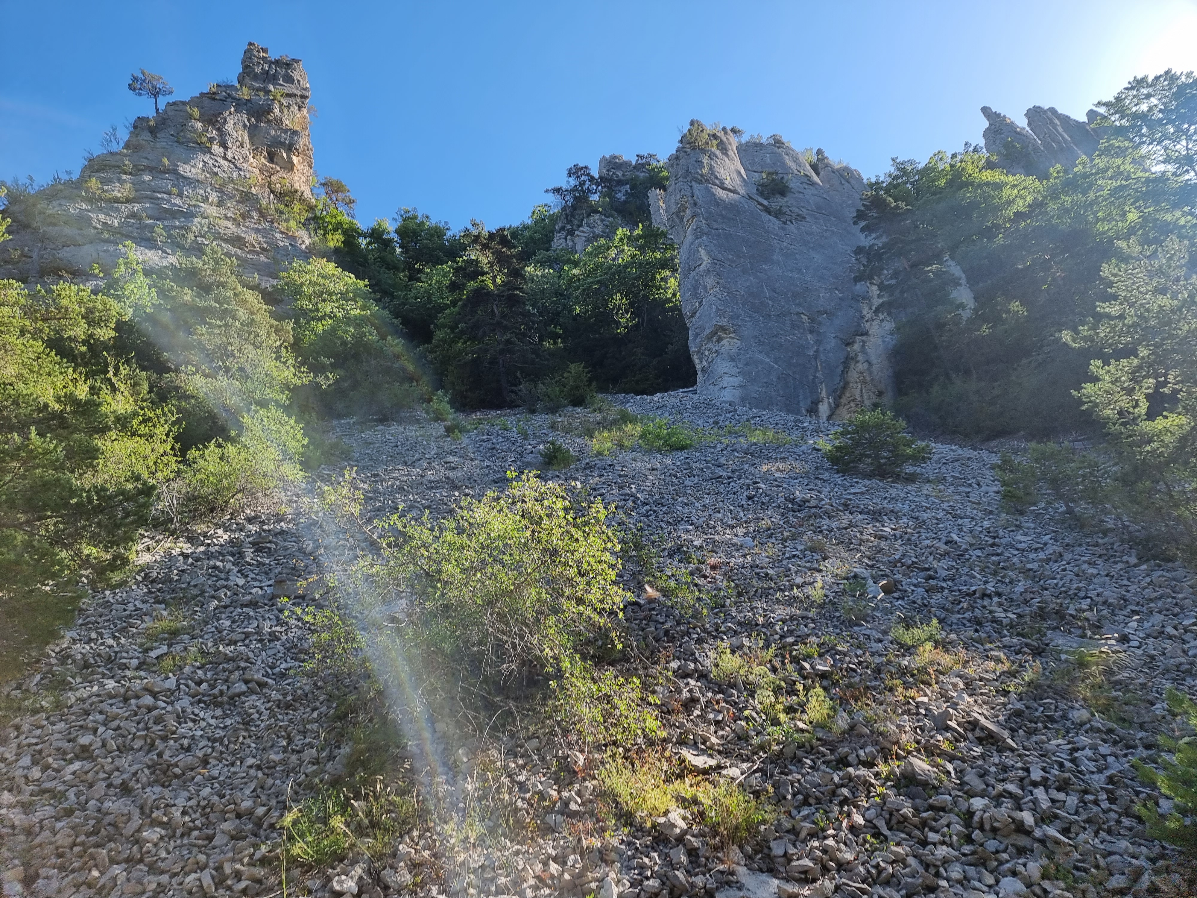 Photo n° 24 de l'avis de Viktória.i fait le 16/07/2022 à 13:58
