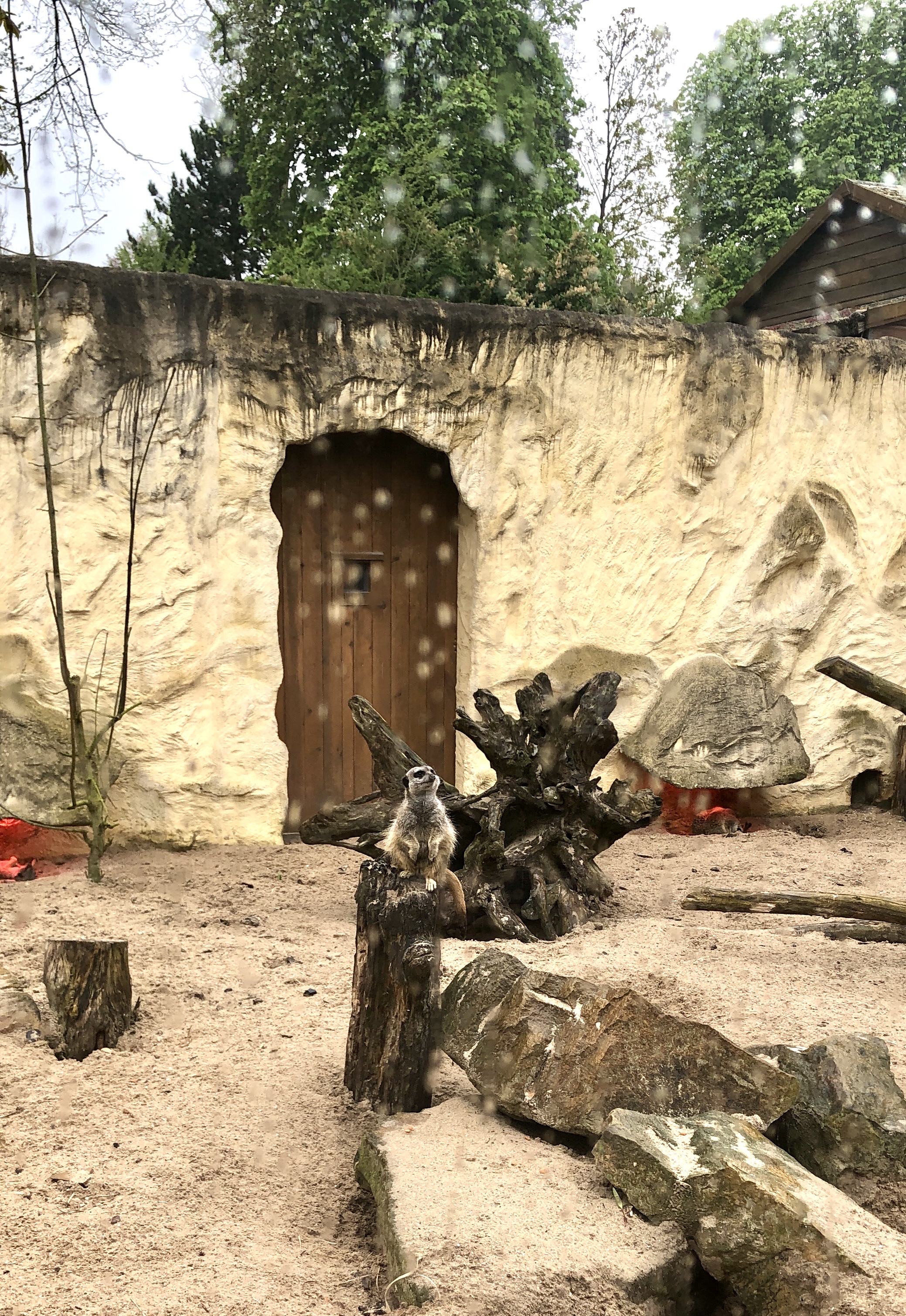 Photo n° 6 de l'avis de R. fait le 25/04/2023 à 06:22