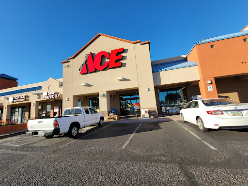 Marks Ace Hardware, 605 E Wetmore Rd, Tucson, AZ 85705, USA, 