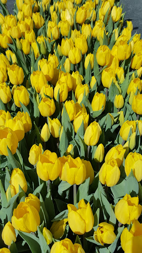 Shopping Mall «Union Square, San Francisco», reviews and photos, 333 Post St, San Francisco, CA 94108, USA