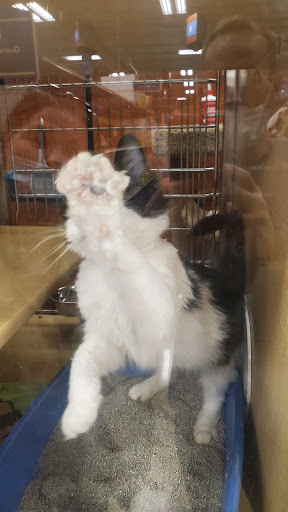 Pet Supply Store «PetSmart», reviews and photos, 4824 211th St, Matteson, IL 60443, USA