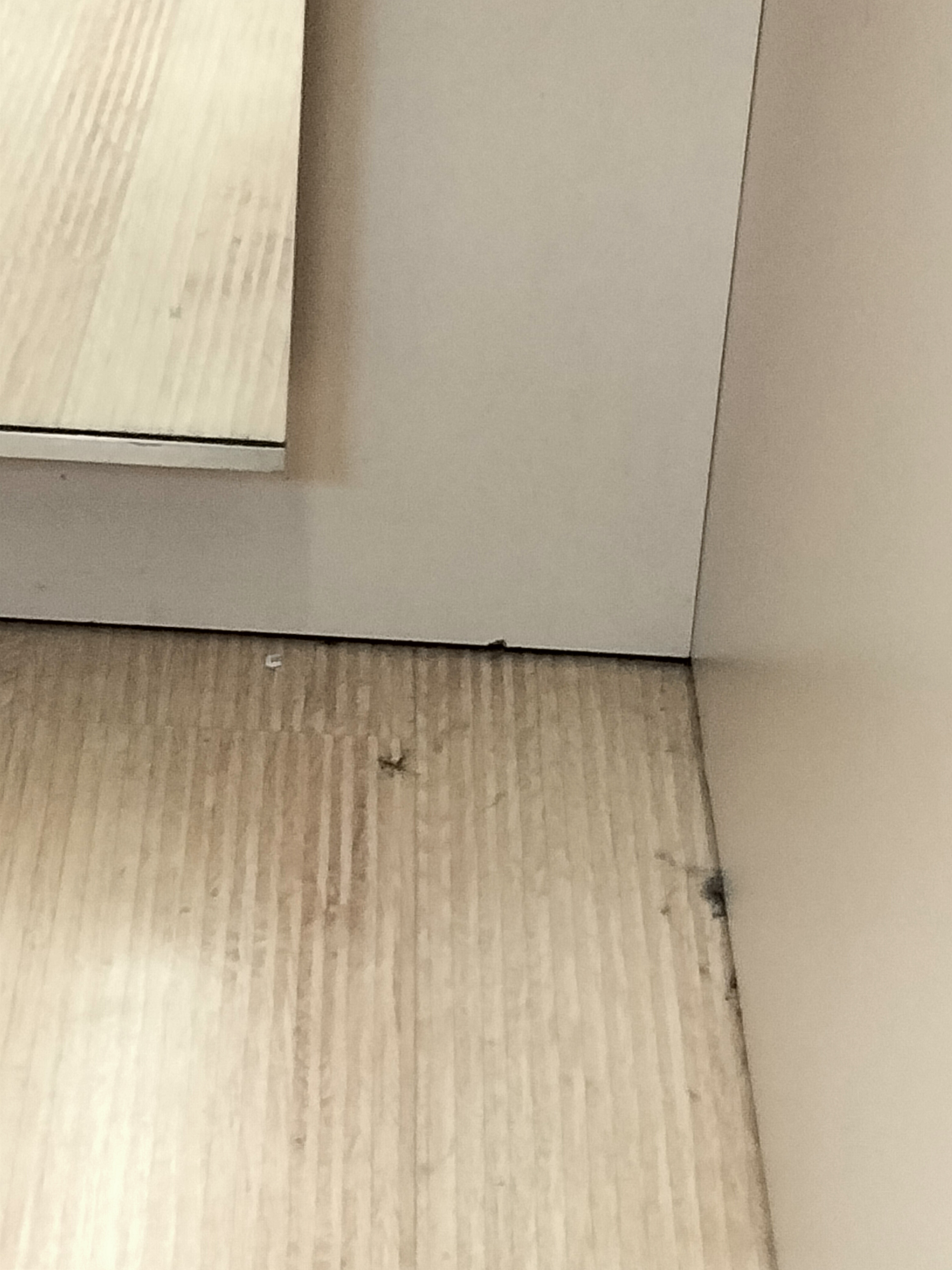 Photo n° 2 de l'avis de Pou.a fait le 29/06/2022 à 12:24