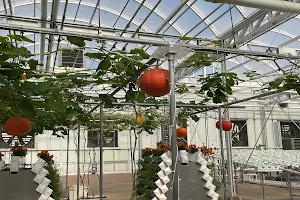 Behind The Seeds Greenhouse Tour image