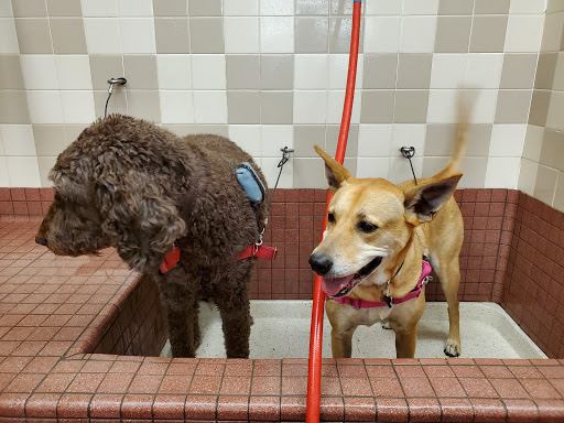 Pet Food Express image
