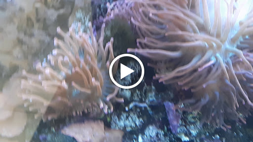 Pharmacy «Westwood Pharmacy», reviews and photos, 5823 Patterson Ave, Richmond, VA 23226, USA