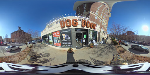 Dog Trainer «Dog Door Behavior Center and Outfitters», reviews and photos, 1 Battle Square A, Asheville, NC 28801, USA