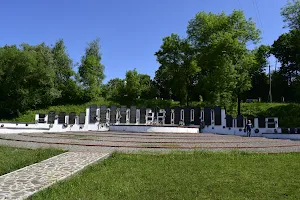 Svalyavsky Memorial Park image