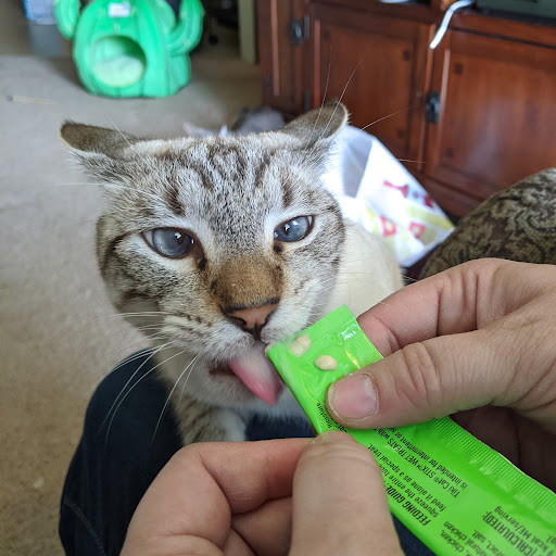 Pet Supply Store «PetSmart», reviews and photos, 5005 S 74th St, Greenfield, WI 53220, USA