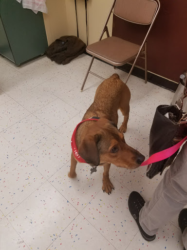 Pet Supply Store «Petco Animal Supplies», reviews and photos, 9 W Avon Rd, Avon, CT 06001, USA