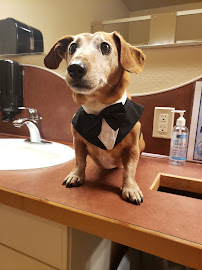 Fallon Love Productions, LLC - Photo 2 - Car repair in Eugene, OR, Eugene