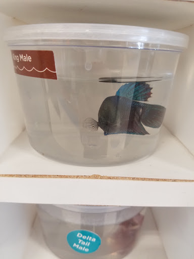 Pet Supply Store «Petco Animal Supplies», reviews and photos, 8644 E 96th St, Fishers, IN 46038, USA