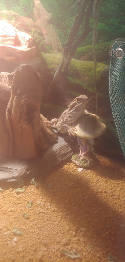 Pet Supply Store «OddBallPetFactory.com», reviews and photos, 8485 Plaza Blvd NE, Spring Lake Park, MN 55432, USA