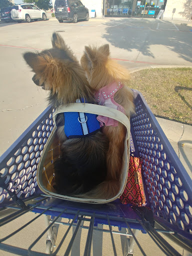 Pet Supply Store «PetSmart», reviews and photos, 11833 Dallas Pkwy, Frisco, TX 75033, USA