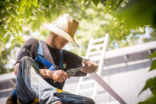 Roofing Contractor «RCV Roofing & Seamless Gutters», reviews and photos