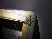 Reliant Pest Management - Photo 6 - Car repair in , Boston