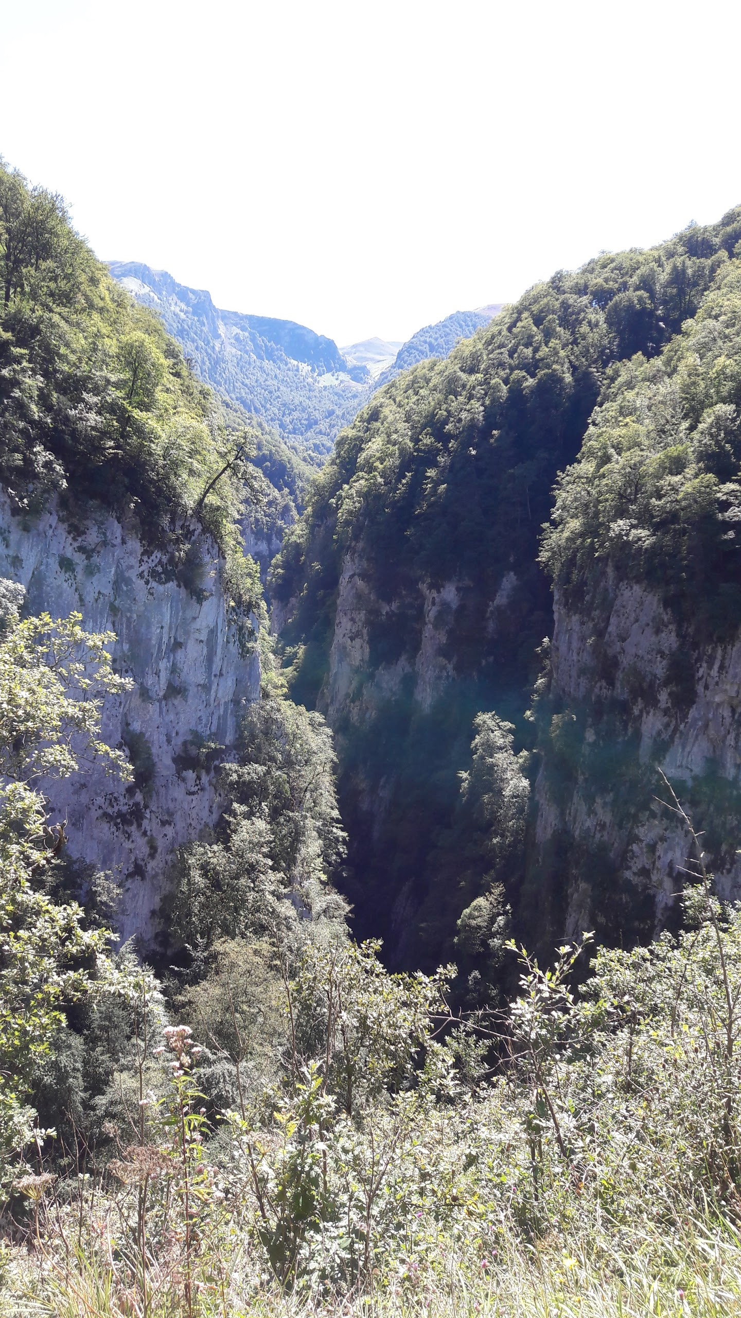 Photo n° 2 de l'avis de Romain.o fait le 20/08/2017 à 14:32