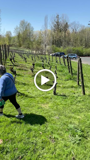 Winery «Edgefield Winery & Tasting Room», reviews and photos, 2126 SW Halsey St, Troutdale, OR 97060, USA