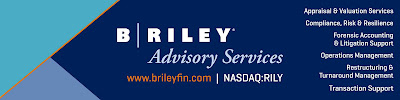 B. Riley Advisory Services - Photo 7 - Car repair in Southfield, MI, Detroit
