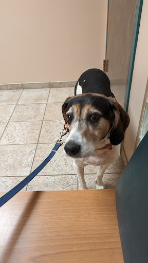 VCA White Oak Animal Hospital image