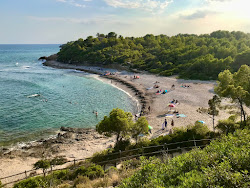 Photo de Platja del Torrent del Pi avec un niveau de propreté de très propre