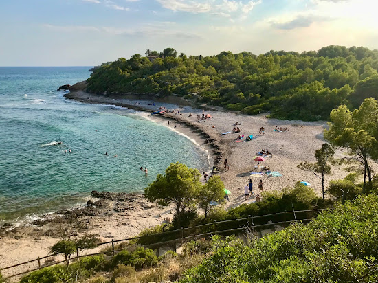 Platja del Torrent del Pi