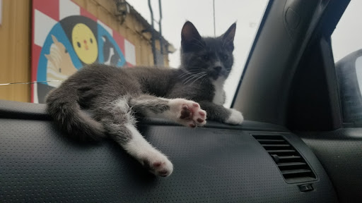 Pet Supply Store «River Valley Feed & Pet Supply», reviews and photos, 6549 16th St, Rio Linda, CA 95673, USA