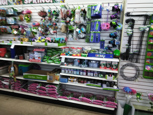 Dollar Store «Dollar Tree», reviews and photos, 4811 Edgmont Ave, Brookhaven, PA 19015, USA