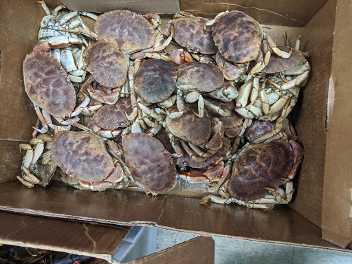 Asian Grocery Store «Far East Grocery Market Inc», reviews and photos, 734 Park St, Whitehall, PA 18052, USA