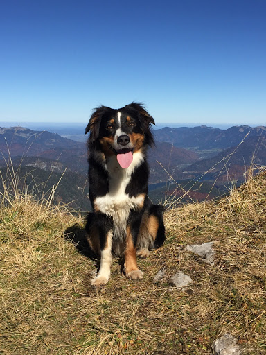 DR.TIER Dr. med. Vet. Stefan Kuscha unter Egmating, Bayern
