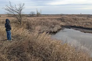 Adam Hill Tar Pits image