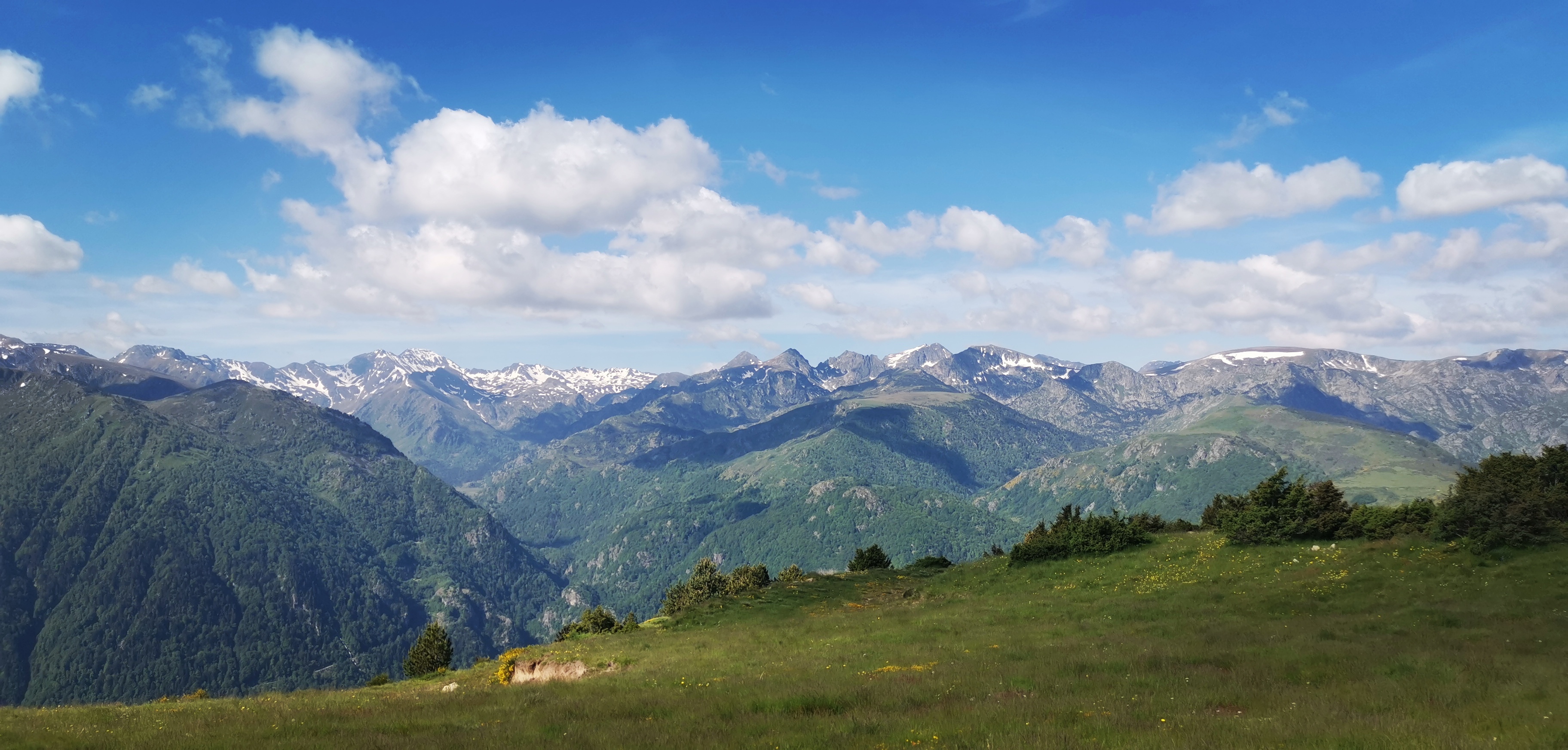 Photo n° 24 de l'avis de Angélique. fait le 03/06/2020 à 18:17