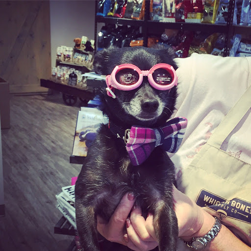 Pet Store «Whisker Bones Supply Co.», reviews and photos, 138 N Main St, Edwardsville, IL 62025, USA