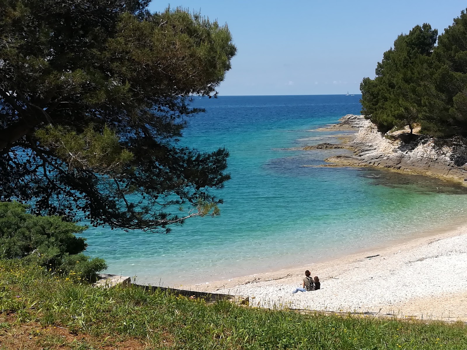 Φωτογραφία του Gortan's Cove με μικρός κόλπος