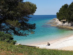 Photo de Gortan's Cove avec petite baie
