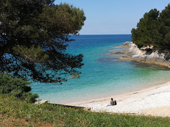 Gortan's Cove