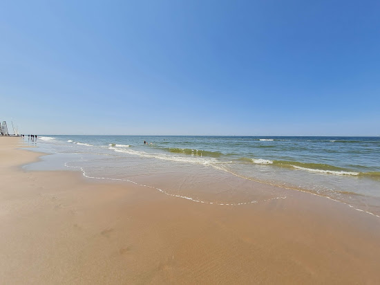 Parnassia aan Zee