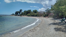 Platja des Port Vella'in fotoğrafı geniş ile birlikte