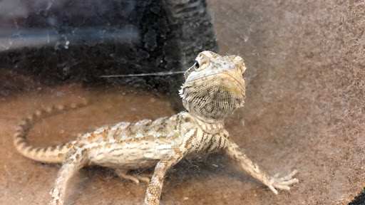 Pet Supply Store «Petco Animal Supplies», reviews and photos, 3110 S Louise Ave, Sioux Falls, SD 57106, USA