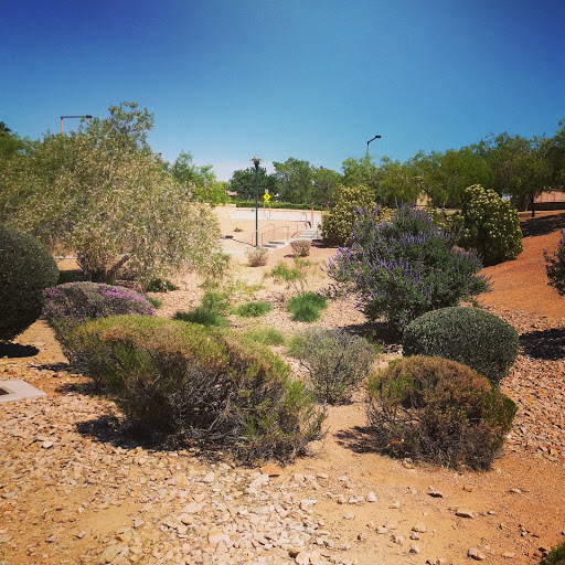 Community Center «Trails Community Center», reviews and photos, 1910 Spring Gate Ln, Las Vegas, NV 89134, USA