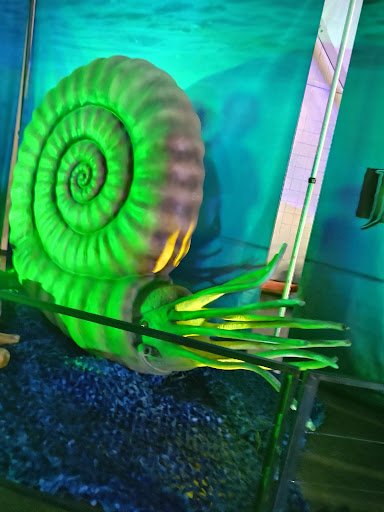 Event Venue «Kansas Expocentre», reviews and photos, 1 Expocentre Dr, Topeka, KS 66612, USA