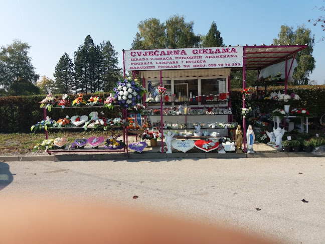 Cvjećarna Ciklama Dugo Selo - Cvjećarnica