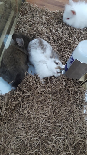 Pet Supply Store «Pet Supermarket», reviews and photos, 3821 S Cobb Dr, Smyrna, GA 30080, USA