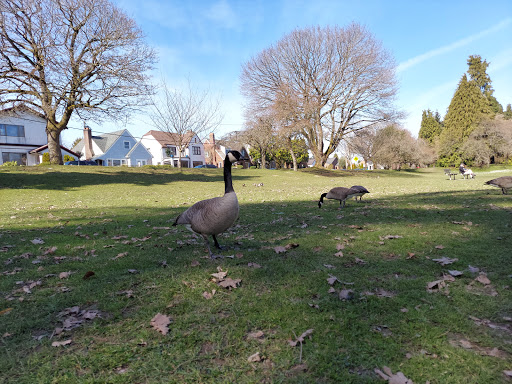 Park «Green Lake Park», reviews and photos, 7201 East Green Lake Dr N, Seattle, WA 98115, USA