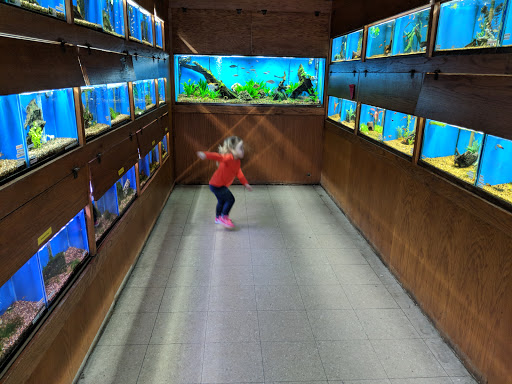 Pet Supply Store «Tropical World Pets», reviews and photos, 8444 Watson Rd, Webster Groves, MO 63119, USA