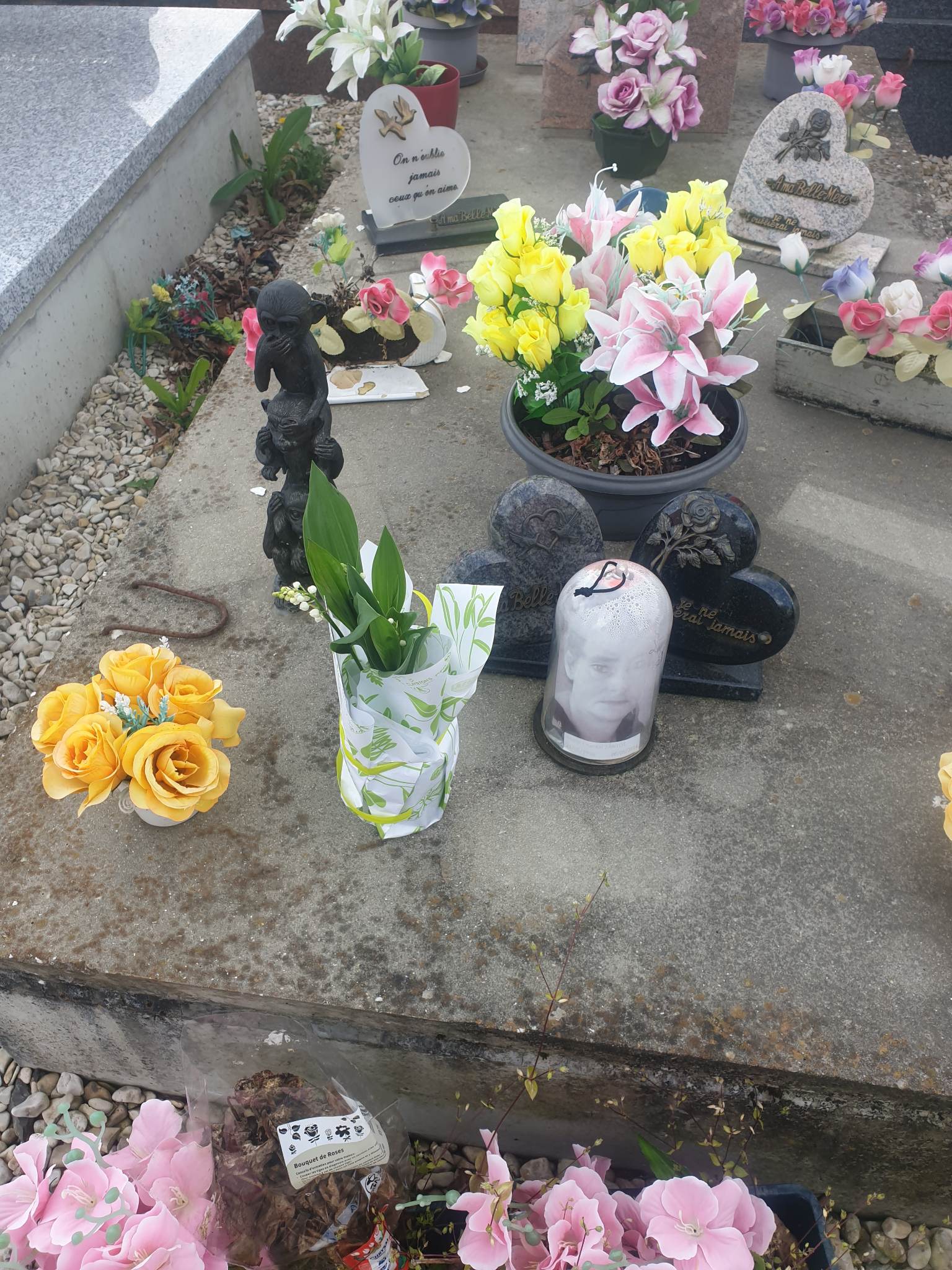 Photo n° 2 de l'avis de Tantot.a fait le 01/05/2023 à 16:08