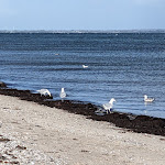 Photo n°3 de l'avis de Dörte.a fait le 14/10/2023 à 21:55 sur le  Landhaus Ostseeblick à Kronsgaard