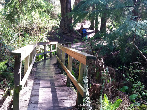 Park «Schmitz Preserve Park», reviews and photos, 5551 SW Admiral Way, Seattle, WA 98116, USA