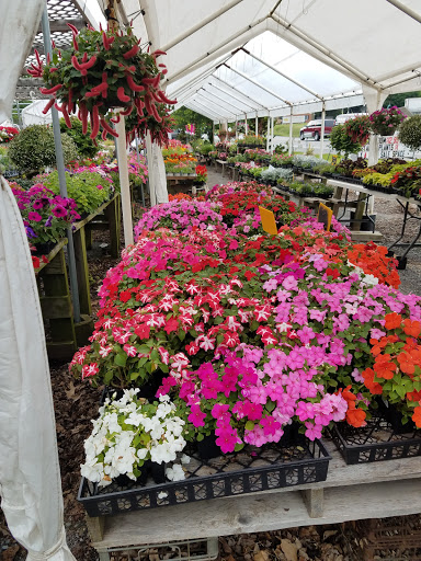 Florist «TG Designs», reviews and photos, 19231 Longmeadow Rd, Hagerstown, MD 21742, USA