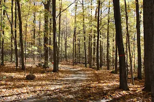 Bois de Belle-Rivière regional educational park image