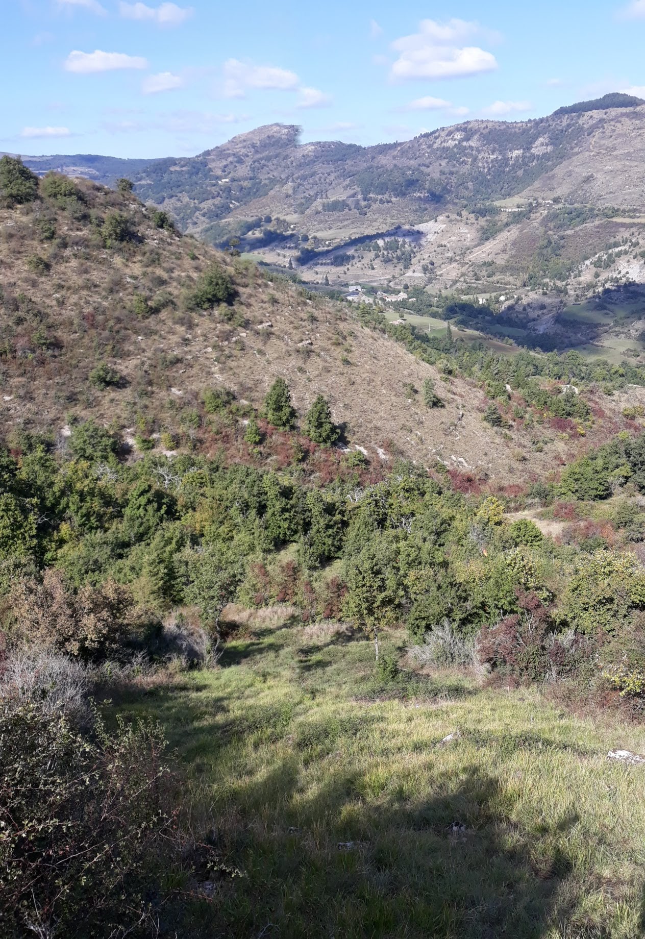 Photo n° 11 de l'avis de bruno. fait le 30/10/2021 à 14:12